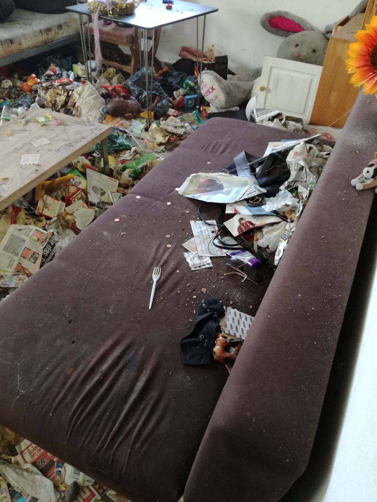 Beispiel Entrümpelung / Transport / Reinigung